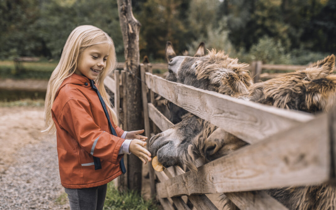 Edukacja w plenerze – rola gospodarstw agroturystycznych w kształceniu dzieci